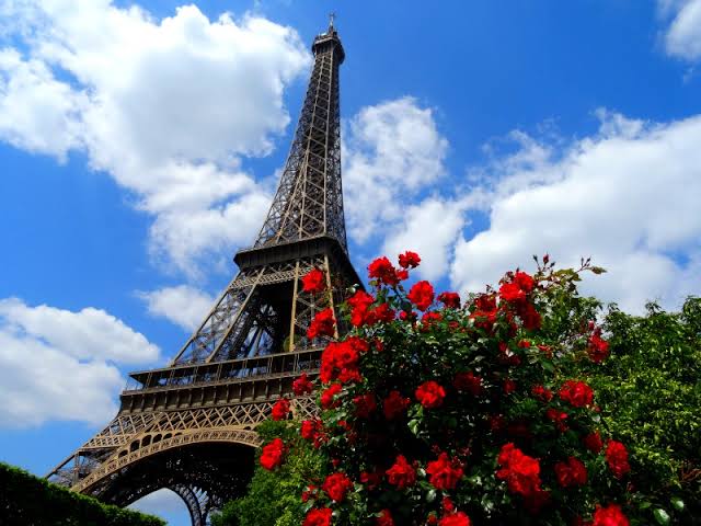 A guide to the south of France