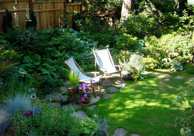 Different Natural Herb Yard Layouts