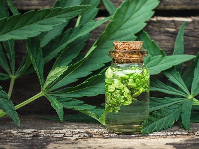 Differences Between CBD and Hemp Oil